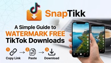 SSSTik TikTok Downloader